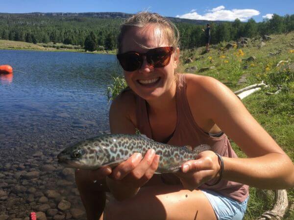 tiger trout