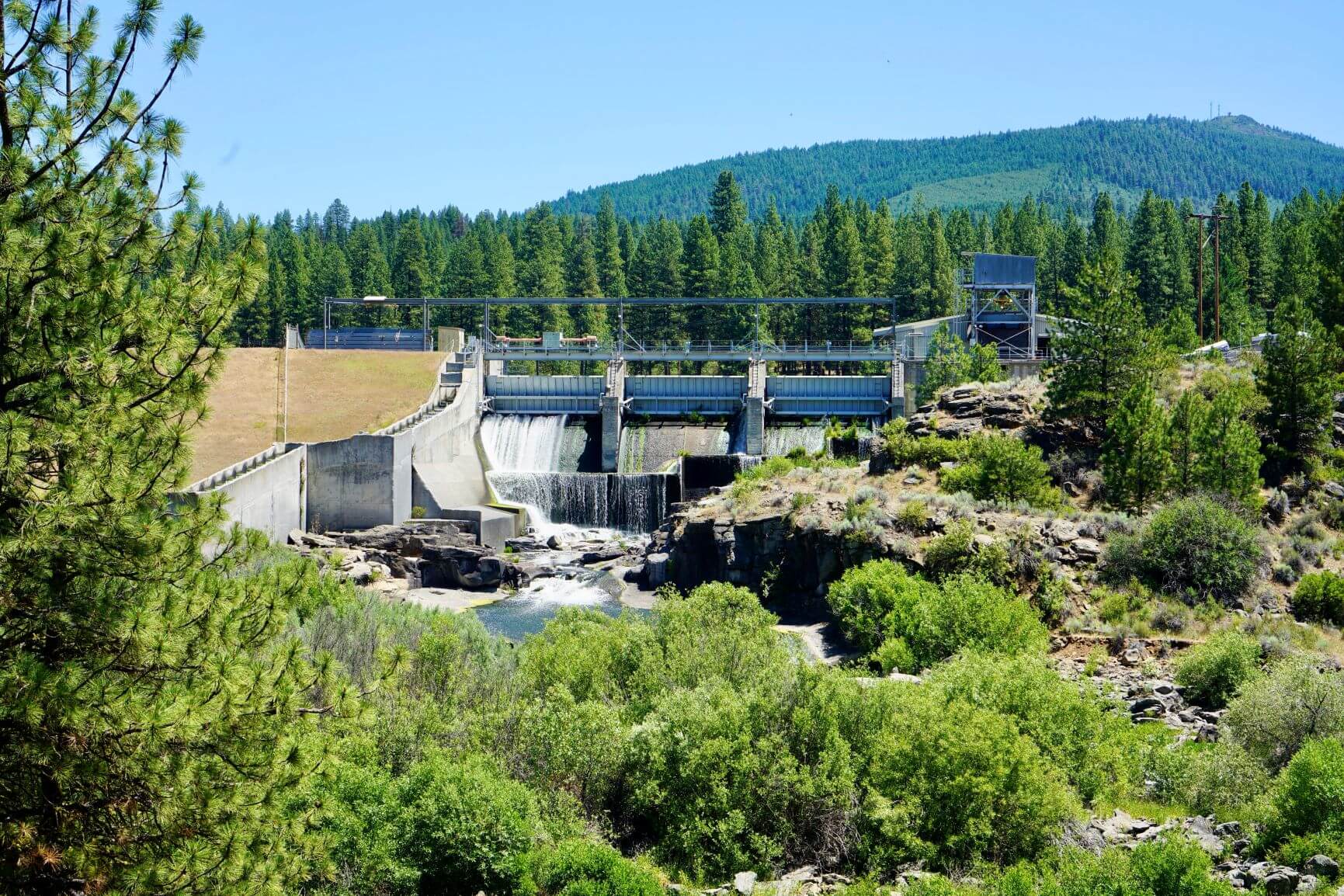 jcboyledam