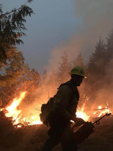 firefighter 2020