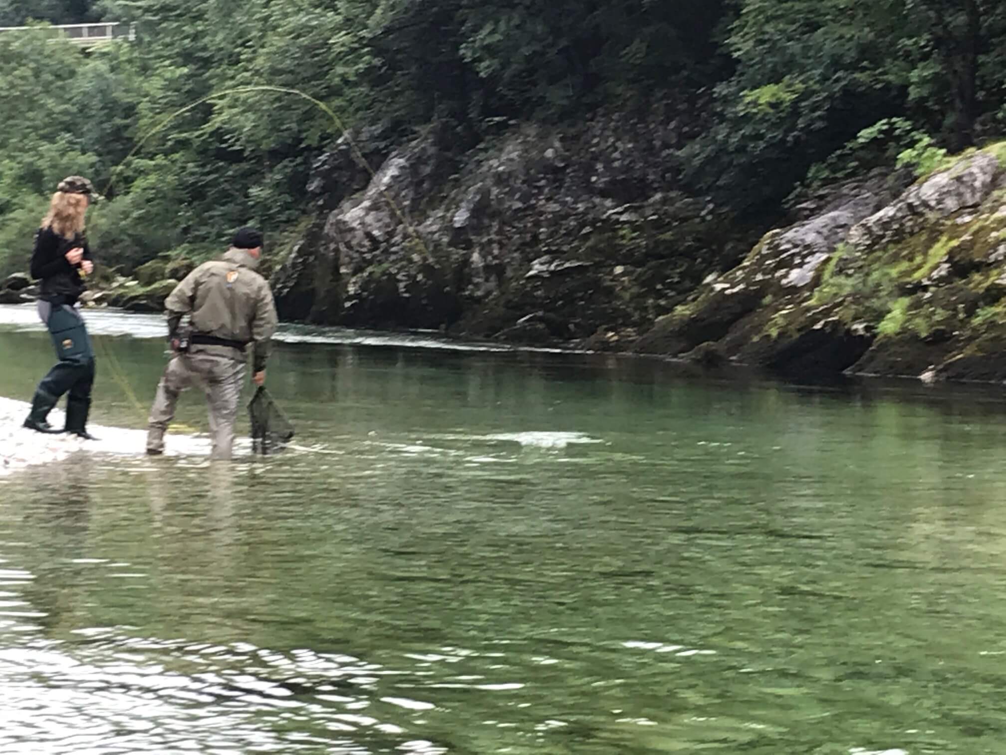 Sava Bohinjka
