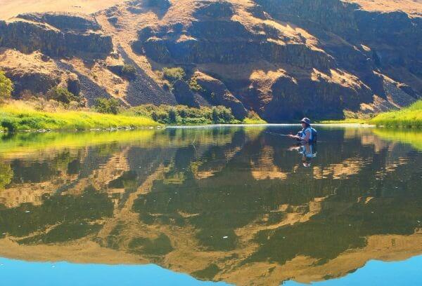 jd bassin
