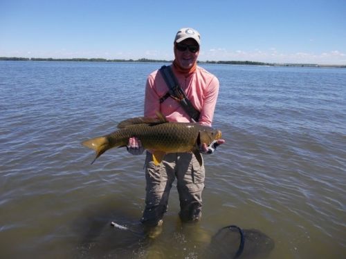 ken w carp