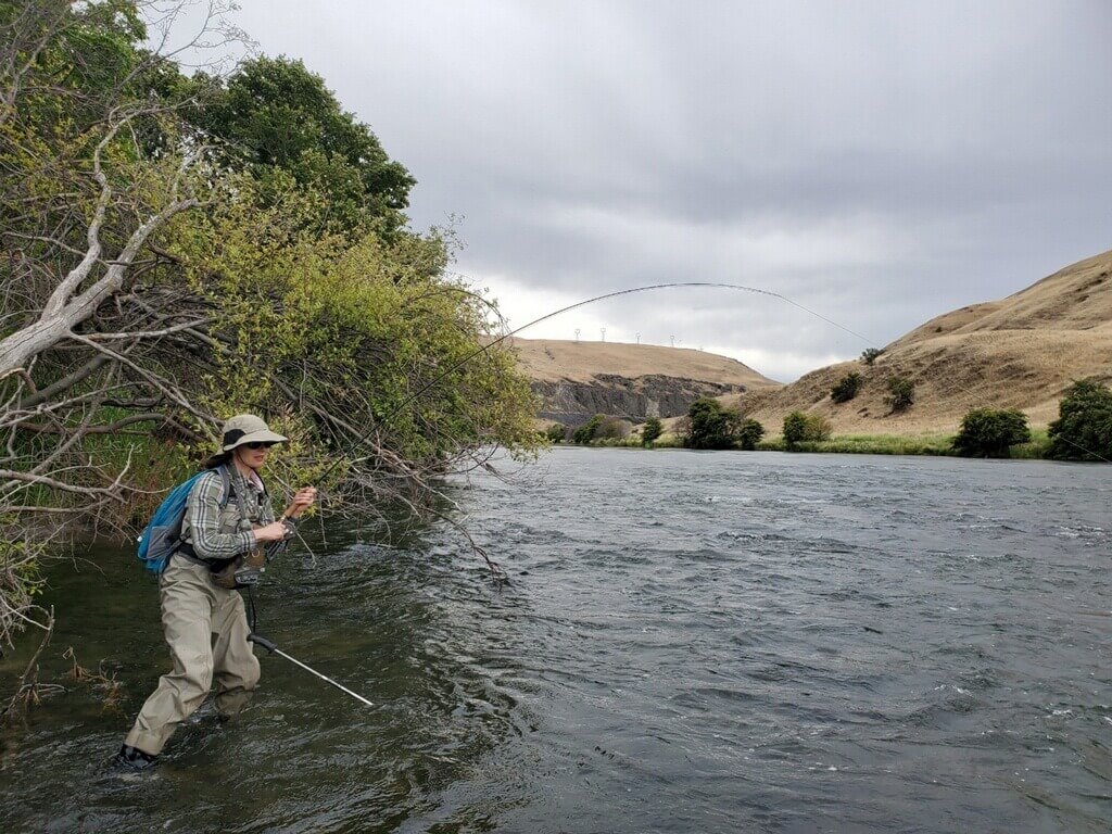 lhdeschutes