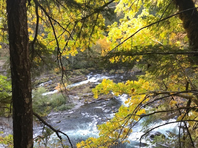 north umpqua