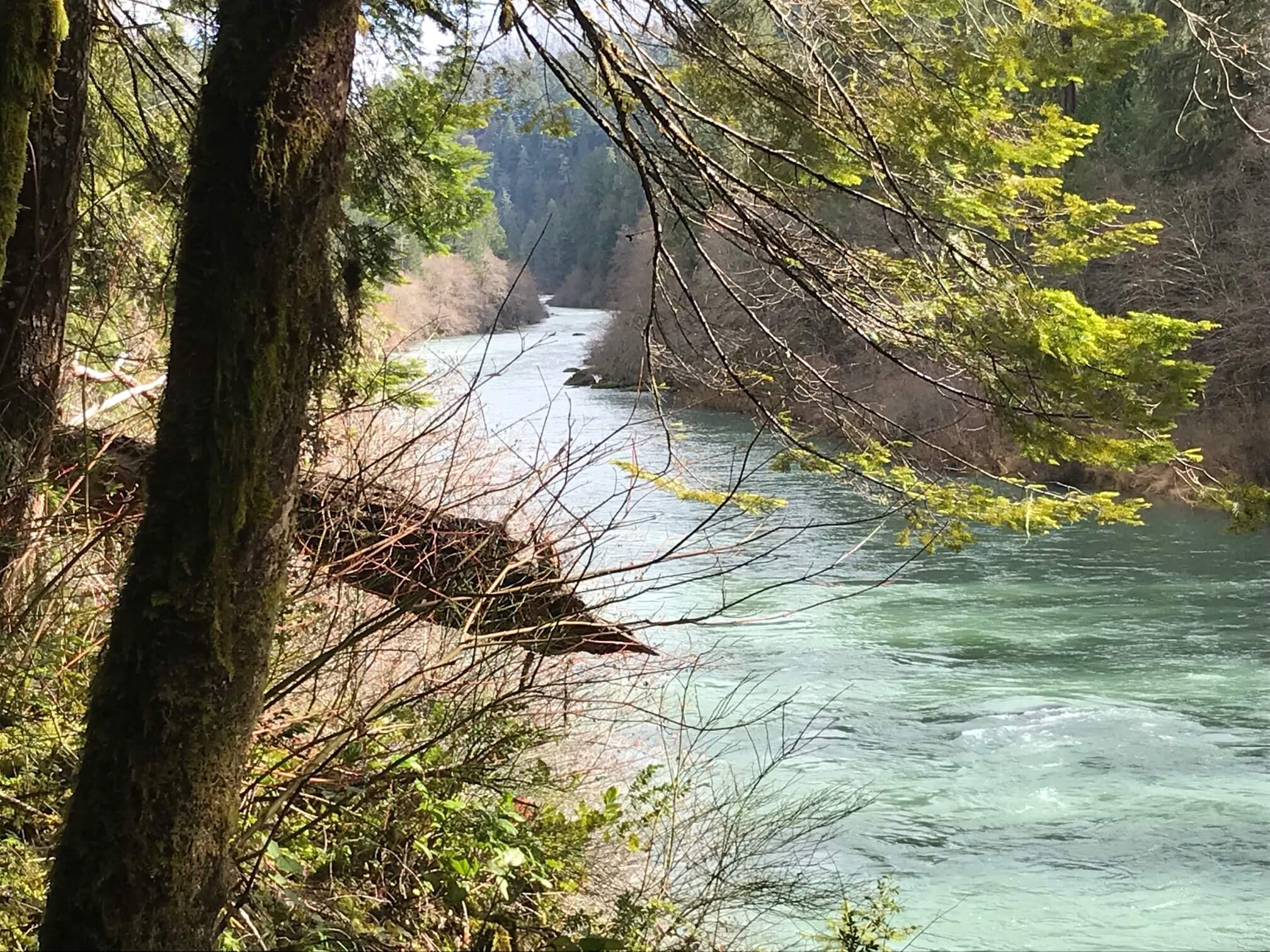 nuriver