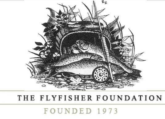 TFF logo